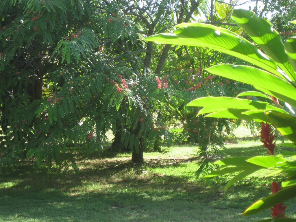 Magnetic Island Bed And Breakfast Horseshoe Bay Exterior foto