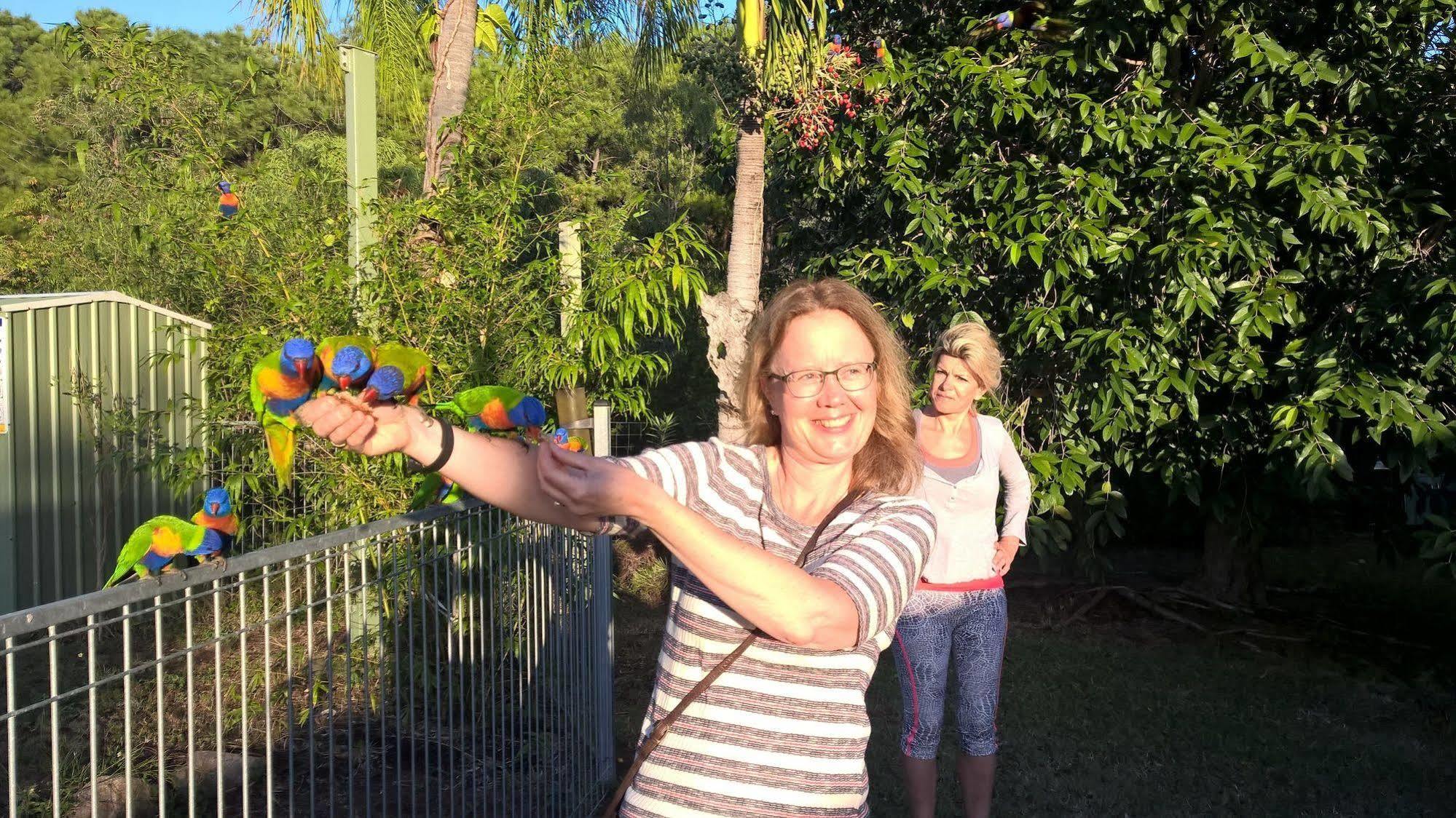 Magnetic Island Bed And Breakfast Horseshoe Bay Exterior foto